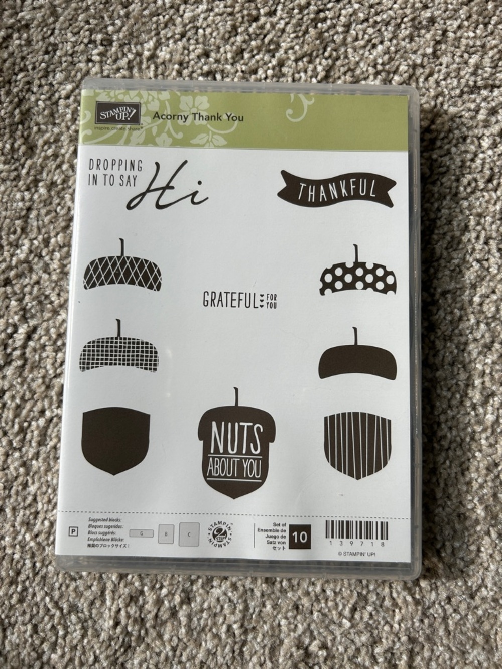 Stampin’ Up! Acorn Big Bundle - Picture 2 of 11